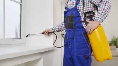 Stop Seasonal Infestations Before They Escalate