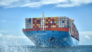 Shipping From China to USA Cost 20ft Container: Complete Pricing Guide